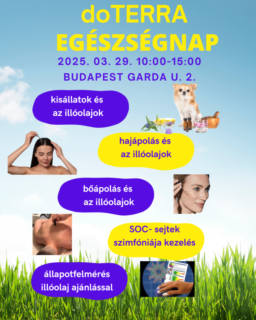 egészségnap